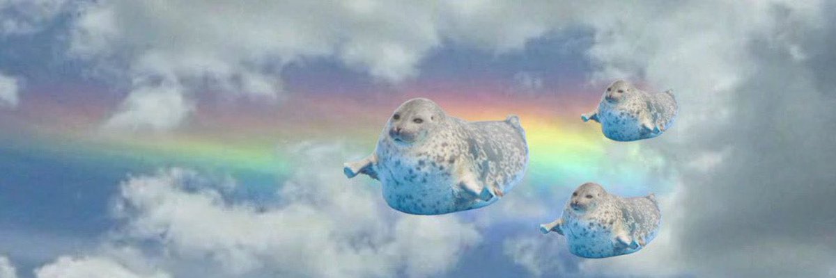 alyssa 🦭 tweet media