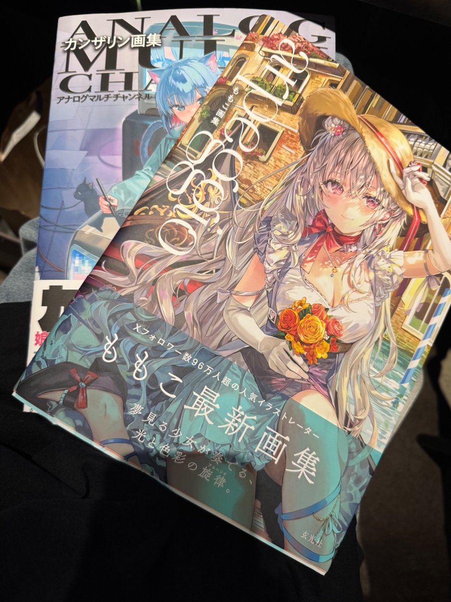 カフェ探してる時に本屋さんに寄ったら好きなイラストレーターさんの画集あったから買っちゃった (^^)