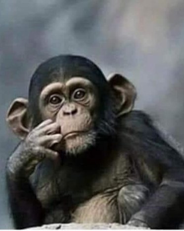 Me watching  you going  to bed with your  100 followers and you've refused  to drop your handles 🫵😆😆