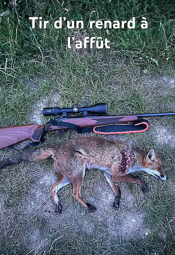 Fier de tuer ... ça révèle bien un pb psycho chez les #chasseurs !

facebook.com/photo?fbid=255… 

#chasse #chasseur #chasseurpsychopathe #chassePartageLaMort #antichasse #chasseabolition #france #société #animaux