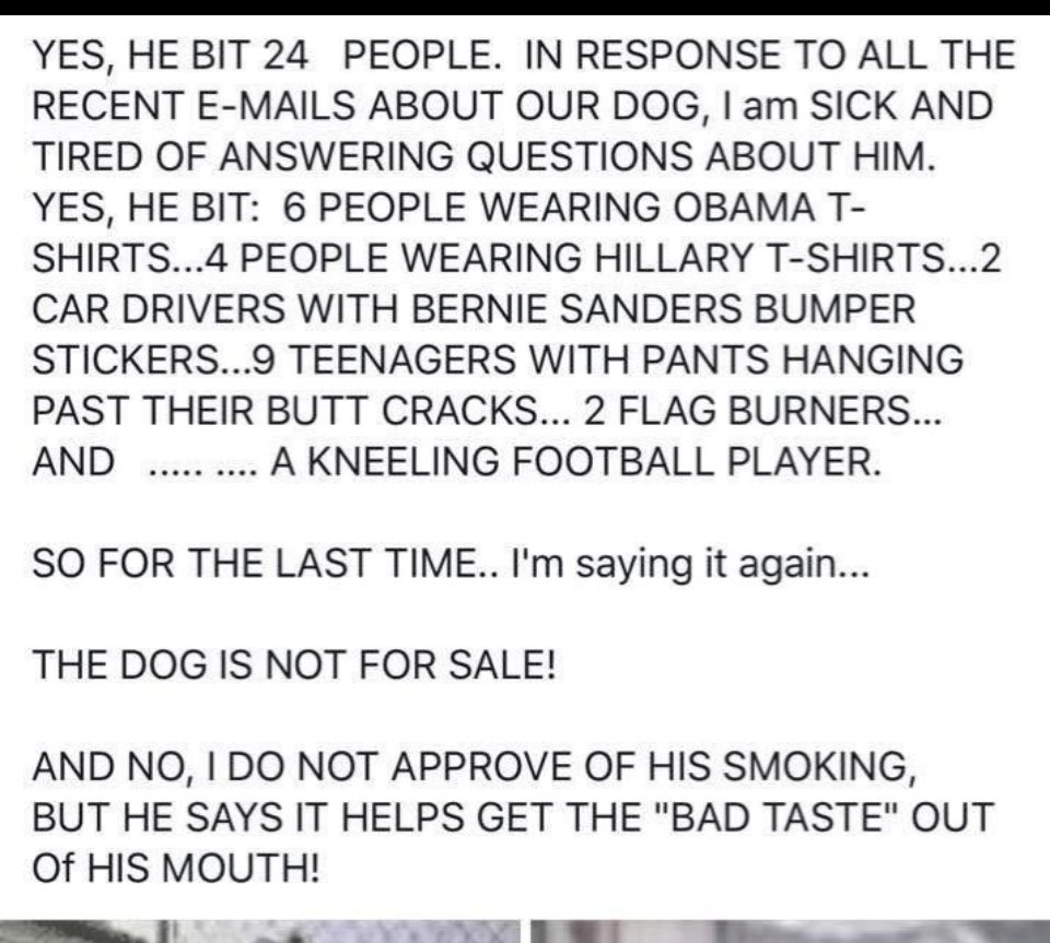 Tony g 🇺🇸🇺🇸🇺🇸🇺🇸 (@tgpwlm) on Twitter photo 