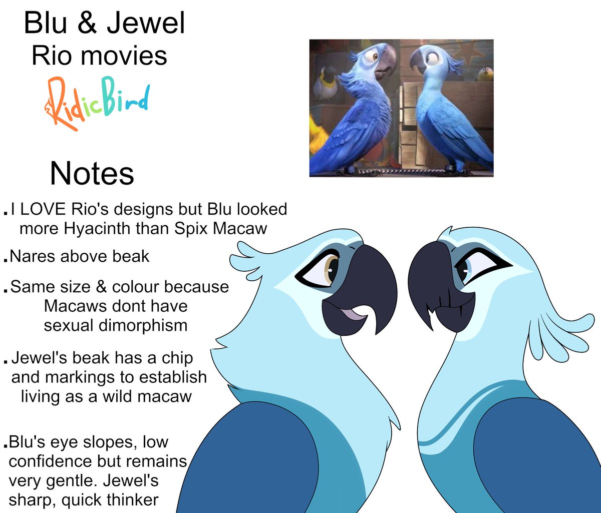 Some Bird Redesigns
