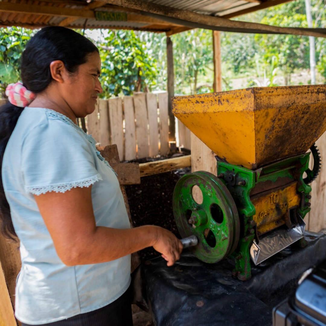 Ella es Celmira, la presidenta de la Asociación de Mujeres Empresarias Pacaypite en #Perú.

Con apoyo del proyecto Avanzar Rural y el FIDA, impulsa la producción sostenible de café. ☕Implementaron composteras, redujeron costos y fortalecieron el rol de la mujer indígena. 🌱