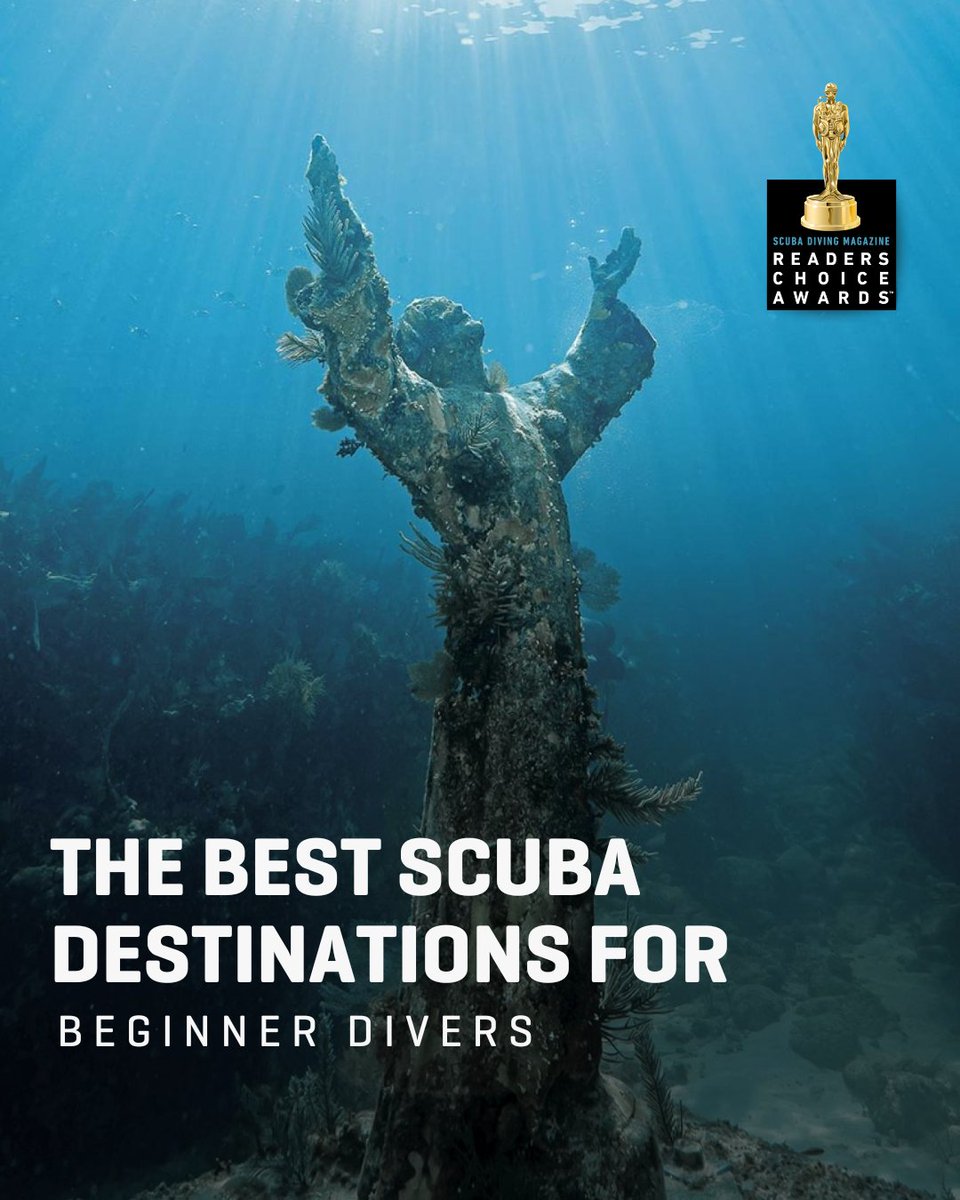 New to diving? These beginner-friendly destinations, as voted by our readers in this year’s Readers Choice Awards, offer easy entry, calm waters, and unforgettable marine life. 🌊🐠

From Bonaire to Malaysia, here’s where to go first 👇

padi.co/d8wkwd9m

🖊 Brooke Morton