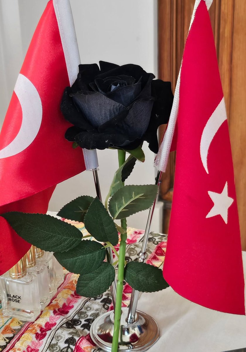 ŞAHİN PARMAKSIZ (@sahinparmaksiz) on Twitter photo Şanlıurfa Büyükşehir Belediye Başkanımız Mehmet Kasım Gülpınar; “Karagül, yalnızca bir bitki değildir. O, siyaha çalan rengiyle bin yıllık bir sırrı saklayan, Mezopotamya'nın kadim toprağında sessizce büyüyen bir hafıza çiçeğidir. Her kokusunda bir şiirin, her yaprağında bir Şanlıurfa Büyükşehir Belediye Başkanımız Mehmet Kasım Gülpınar; “Karagül, yalnızca bir bitki değildir. O, siyaha çalan rengiyle bin yıllık bir sırrı saklayan, Mezopotamya'nın kadim toprağında sessizce büyüyen bir hafıza çiçeğidir. Her kokusunda bir şiirin, her yaprağında bir