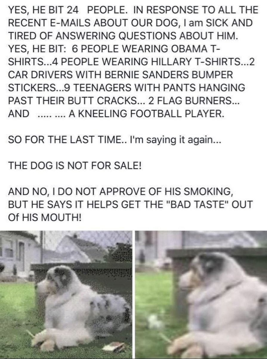 Tony g 🇺🇸🇺🇸🇺🇸🇺🇸 (@tgpwlm) on Twitter photo 