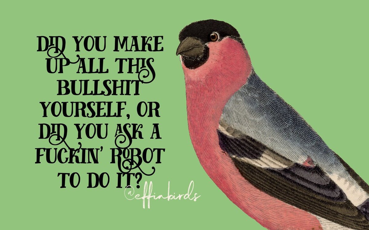 Effin' Birds (@effinbirds) on Twitter photo 