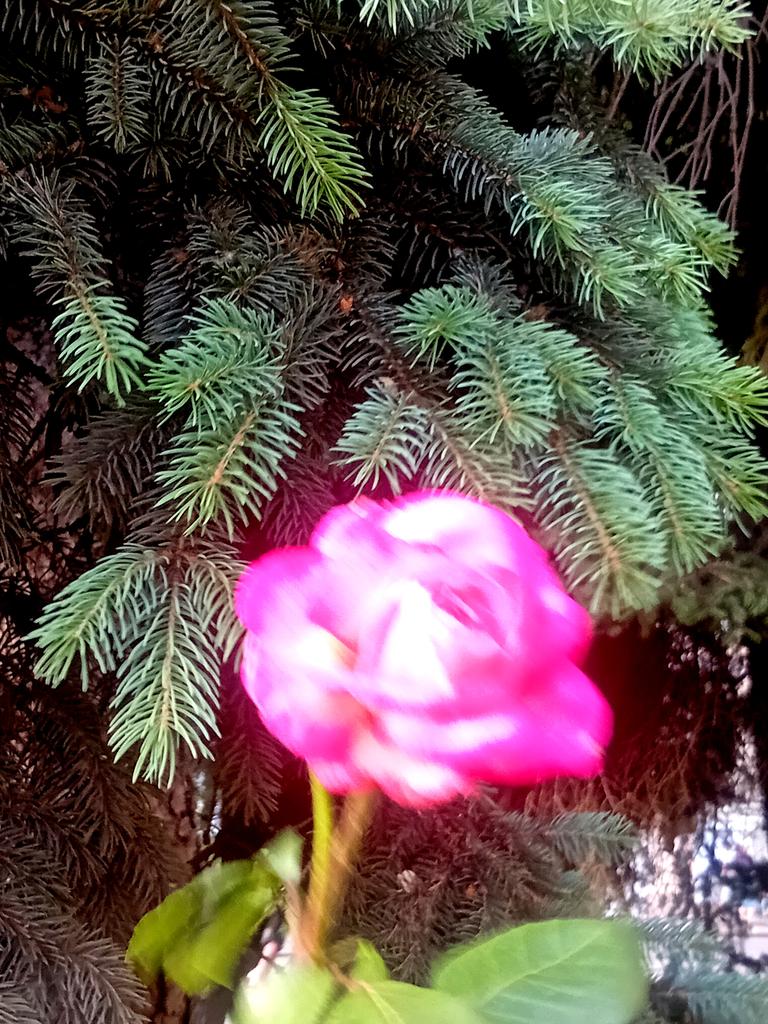 Катерина Галич tweet media