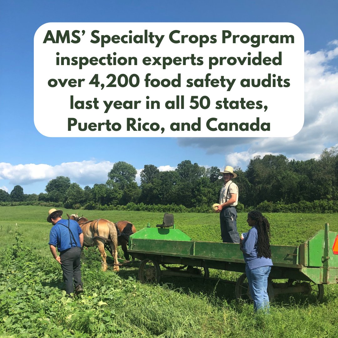 Fruit and Vegetable Month Fun Fact – AMS’ Specialty Crops Inspection Division inspects and certifies over 8 billion lbs. of processed fruit and vegetable products and 66 billion lbs. of fresh fruits and vegetables.