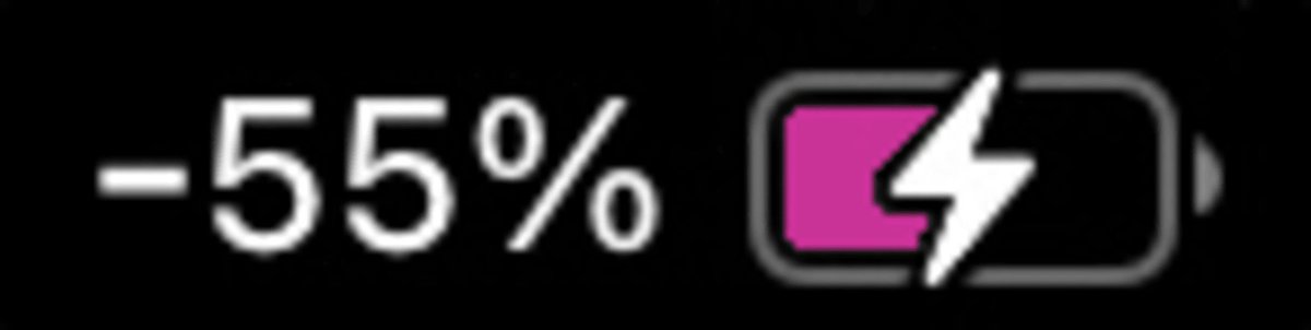 A DONESTICATED BEAR???? tweet media