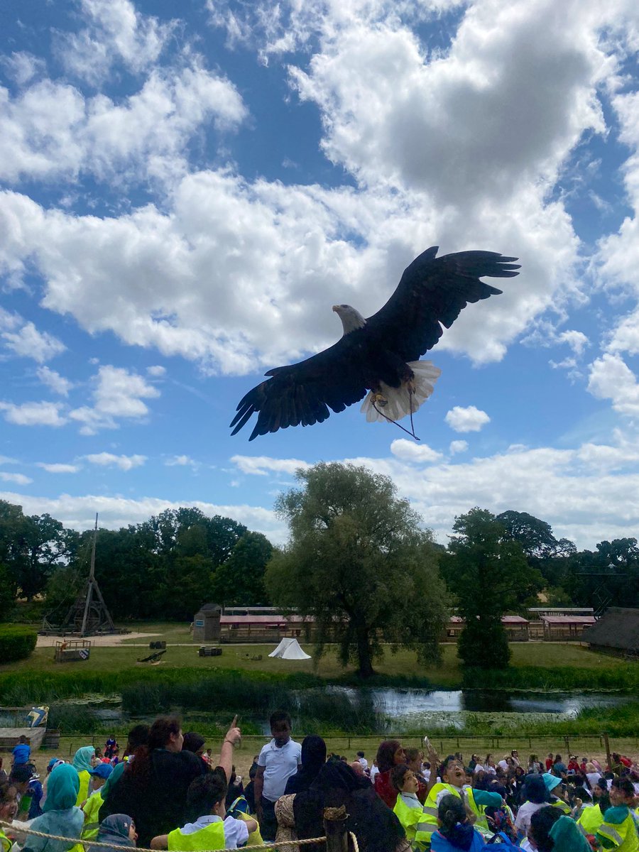 Miss Kingston tweet media