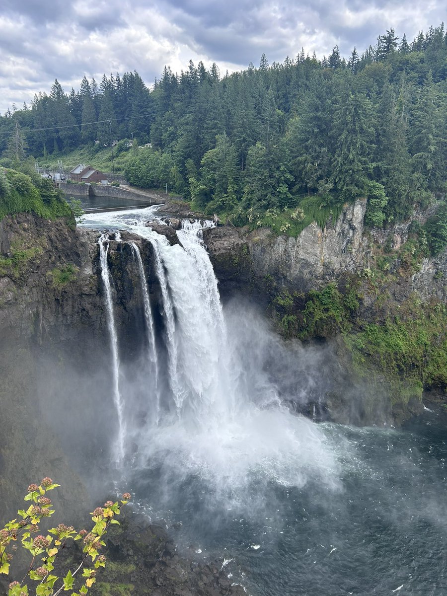 damage talking tweet media