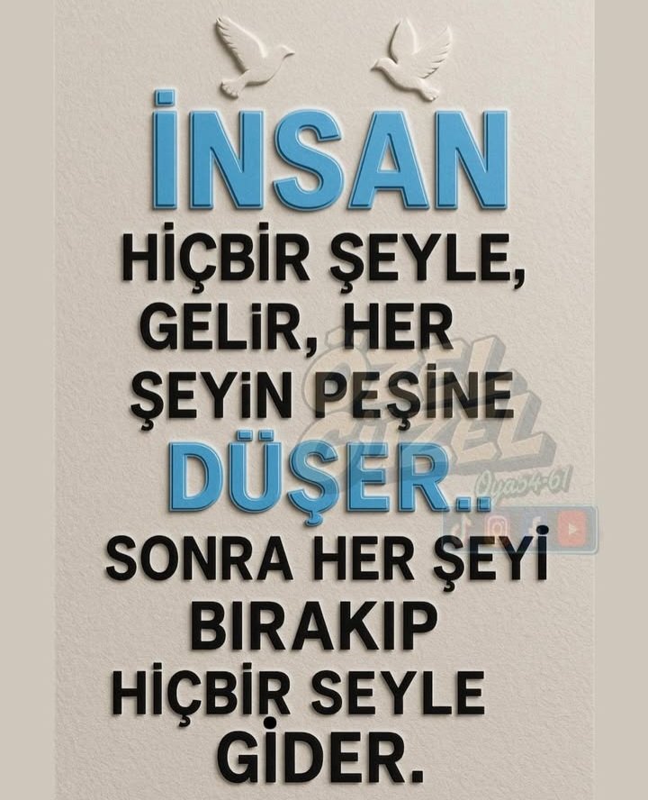 Bozkurt Officiall (@bozkurtoficiall) on Twitter photo 