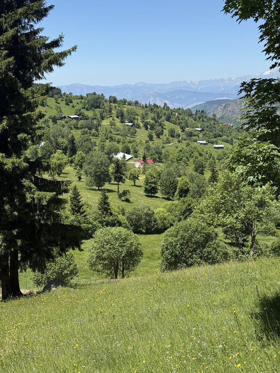 Doğa yürüyüşündeyiz