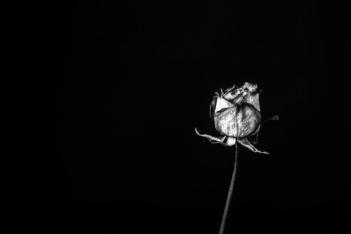 John Getchel (@johngetchel) on Twitter photo Today’s photography theme is NEGATIVE SPACE Today’s photography theme is NEGATIVE SPACE