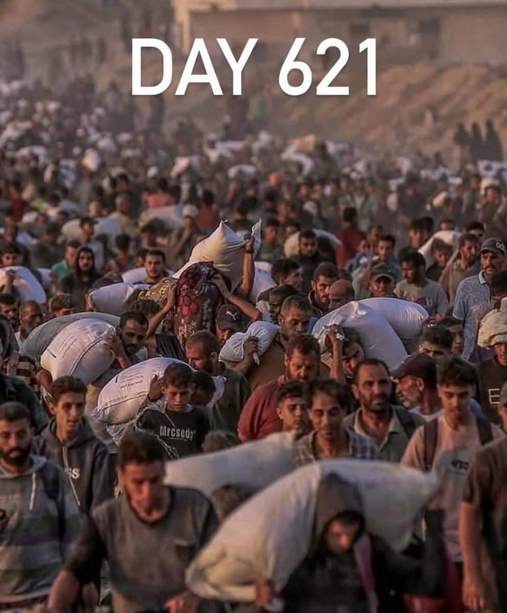 Abbas Aboelhassan (@abbasyz) on Twitter photo 