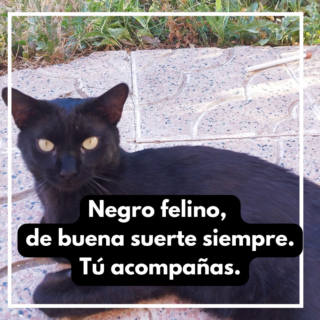 Haiku de jueves de verano. Chicharras de fondo y el sol cayendo lentamente.

Pequeños instantes que equilibran una balanza desgastada.