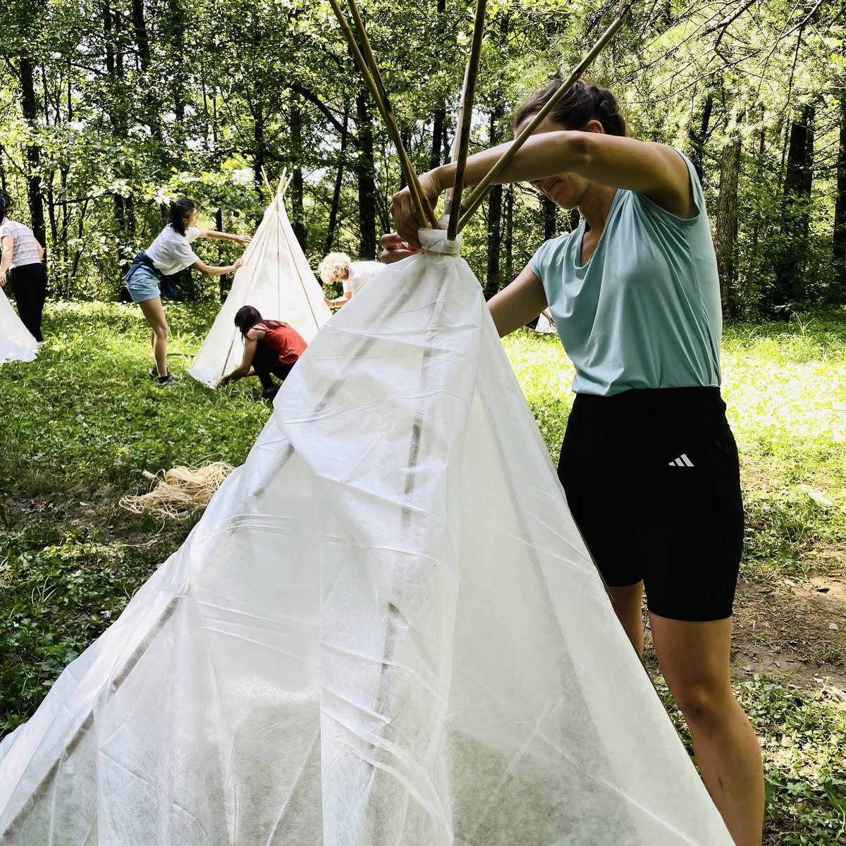 Maushaus_Arq's tweet photo. Refugios en la naturaleza!! #vivac #helduak #formakuntza #cursodevarano @uik_eus   @kutxafundazioa  #miramon #parkea https://t.co/9XrqICl94W