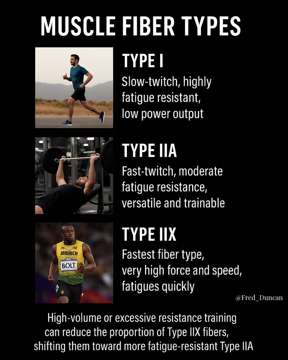 Thread ⬇️

Most people focus on things they can’t change, genetics, limb lengths, but That’s the easy way out. 

The key is understanding that different training methods produce different adaptations
