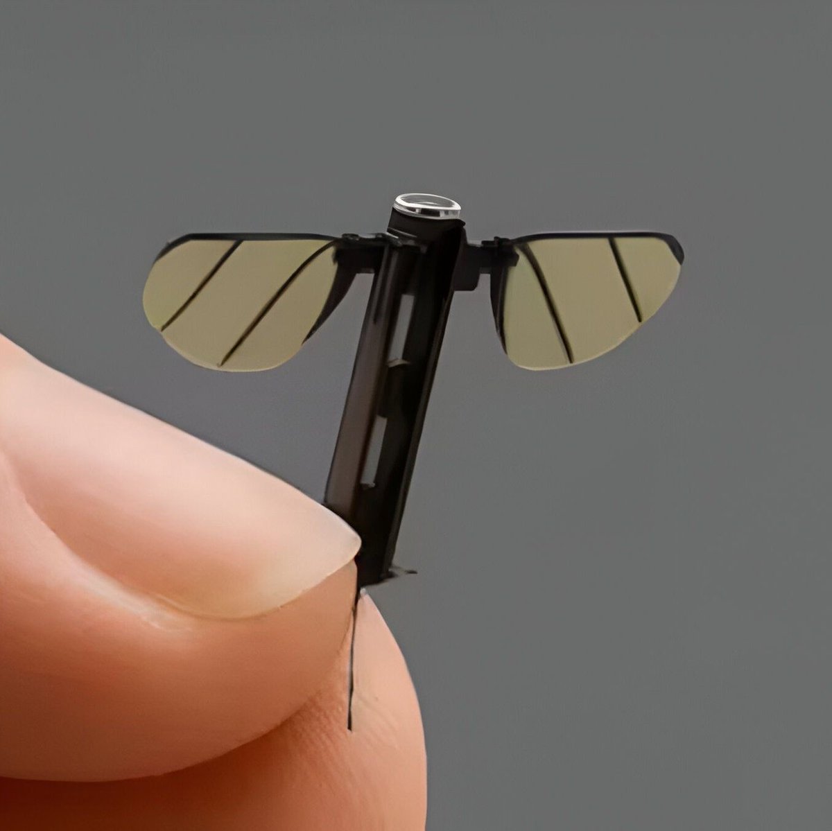 GlobeEyeNews's tweet photo. China unveils 0.6 cm mosquito-like spy drone for stealth operations. https://t.co/0fPuyL4LT9