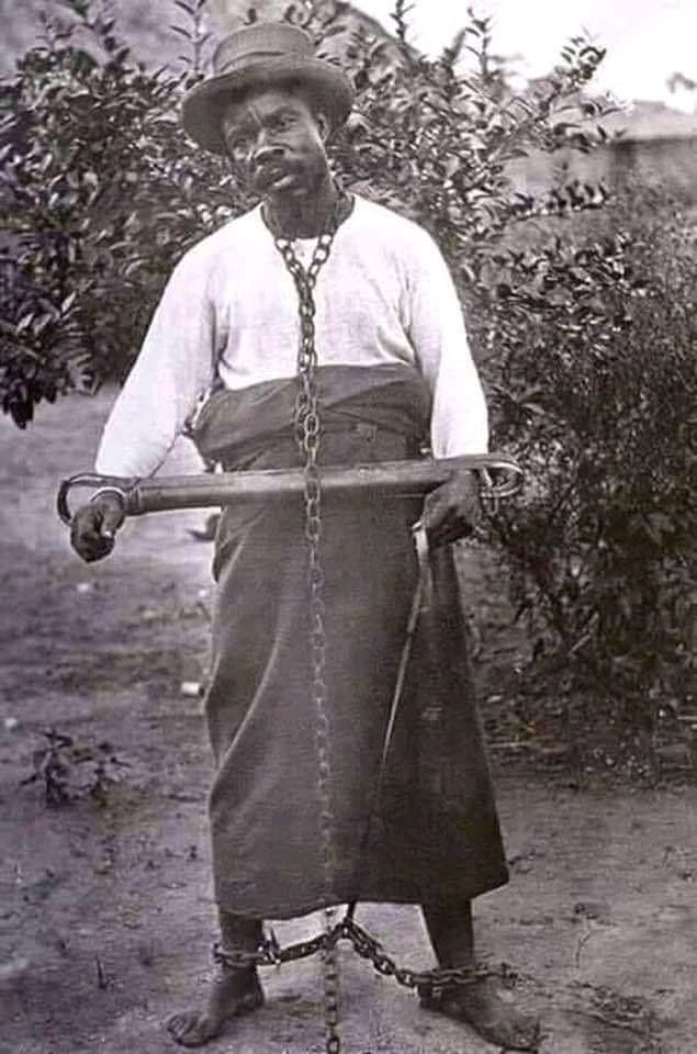 This is what they did to your ancestors in case y'all get too comfortable to forget. Never Forget!