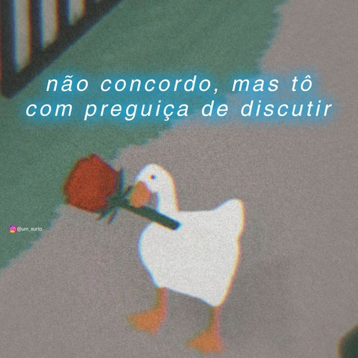 Nazaré Amarga tweet media