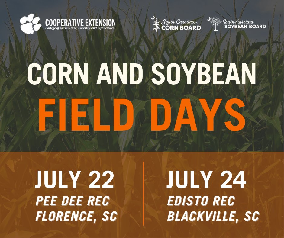 Be ready for the corn and soybean fields days coming up in South Carolina! July 22 and 24 in Blacksville and Florence. Events begin at 8:30am until 12:00pm. Free lunch will be served!
