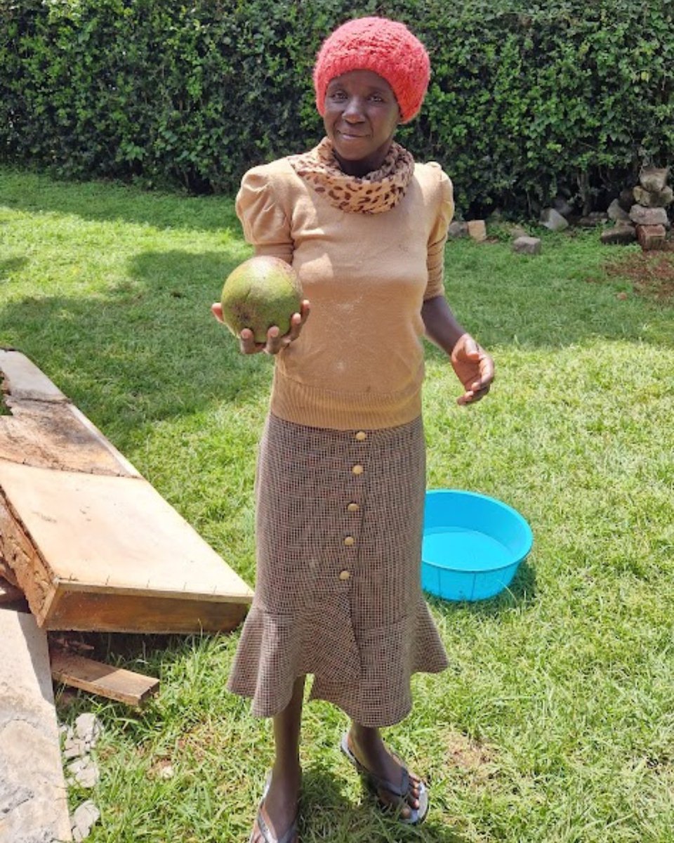 🥑 Kenya's avocados are NO JOKE! Here's Rhoda showing off just one — they can grow even bigger! Delicious, filling, and often big enough to feed a whole family.

#Kenya #Kitale #Avocados