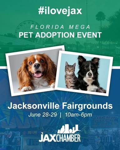 JAXChamber's tweet image. Chamber member @jaxfair Welcomes the Florida MEGA Pet Adoption Event! 🐶🐱
Mark your calendars for June 28–29, 10 AM–6 PM, and head to the Jacksonville Fairgrounds, where the MEGA Pet Adoption Event will feature adorable adoptable dogs and cats from 11 local shelters – and…