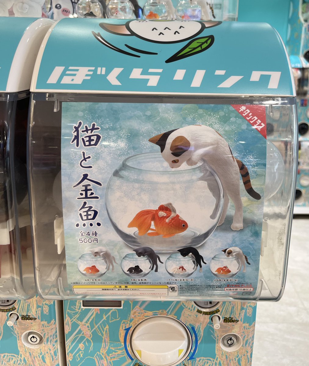 cfhenin's tweet photo. hii guys ada yang mau gacha? 
300yen 55k, 500yen sanrio 80k, 500y kucing 75k

bersih ina no capsule, eta ina 25 juli 🩷🍏 ada GO di bio ya<3 https://t.co/1OFwQHEU7o
