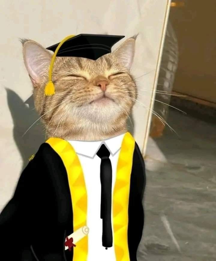 AAAAAAAAAAAAAAA i have a degree!!

just heard i got a very good grade on my thesis, which means i graduated :))) worked so hard these past years, I AM FREE 🗣️