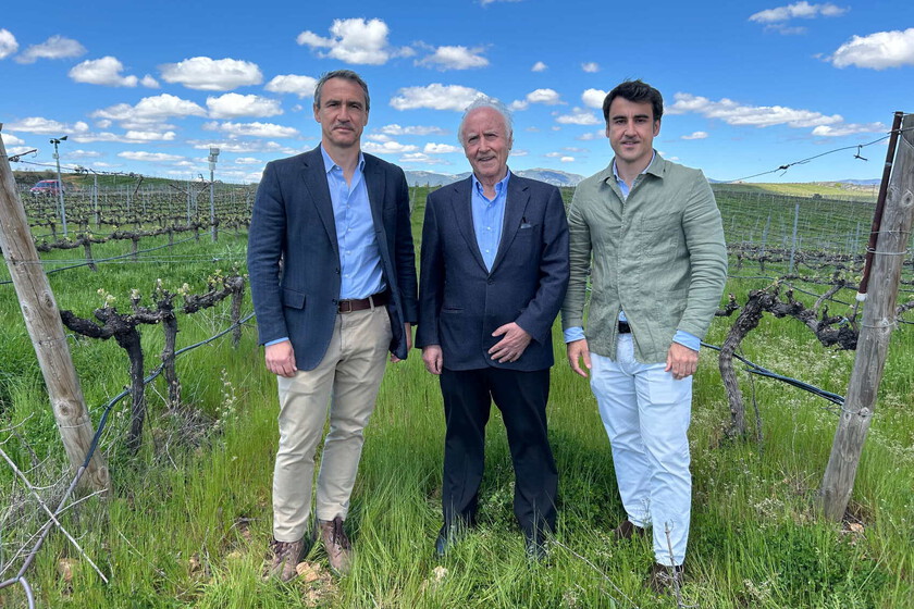 Les dijeron que "plantasen pingüinos" por querer hacer vino a 1.000 metros de altitud. Ahora tienen la bodega más famosa de Guadalajara directoalpaladar.com/enologia/les-d…