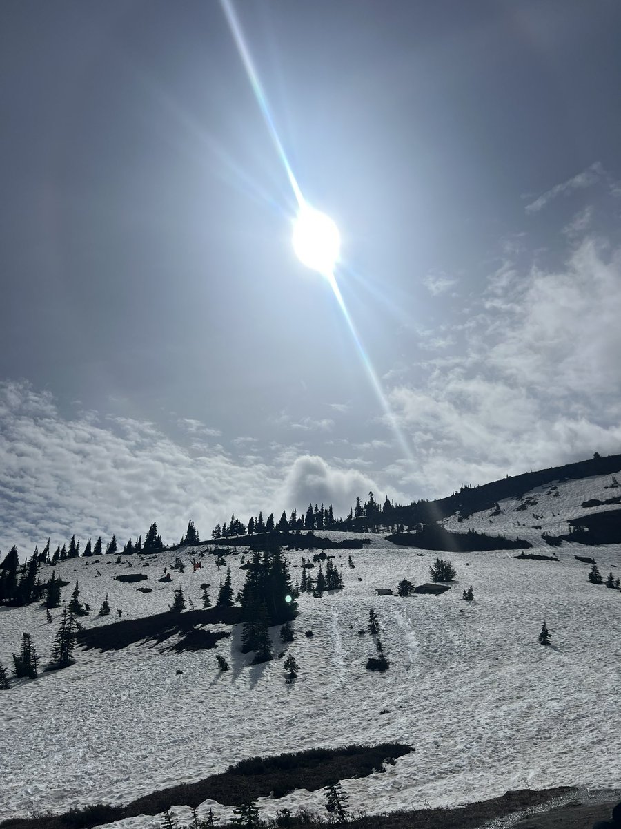 OutragedMike's tweet image. Friends I met on one of the trails  of Mount Rainier yesterday.  

What a beautiful day❤️