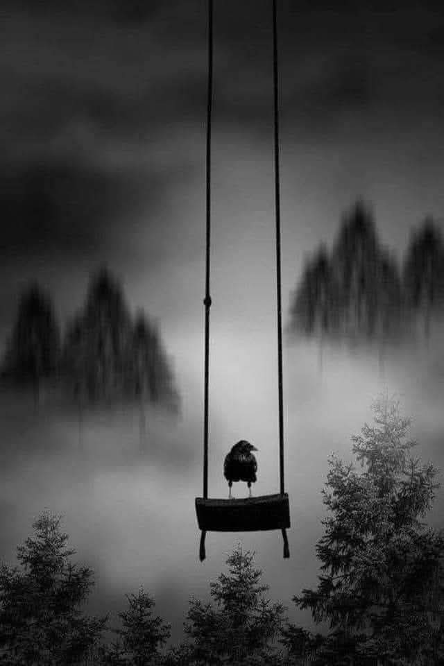 یہ وقت ہے یا کوئی درندہ!
لمحہ لمحہ نِگل رہا ہے

Good Evening beautiful ❤️
