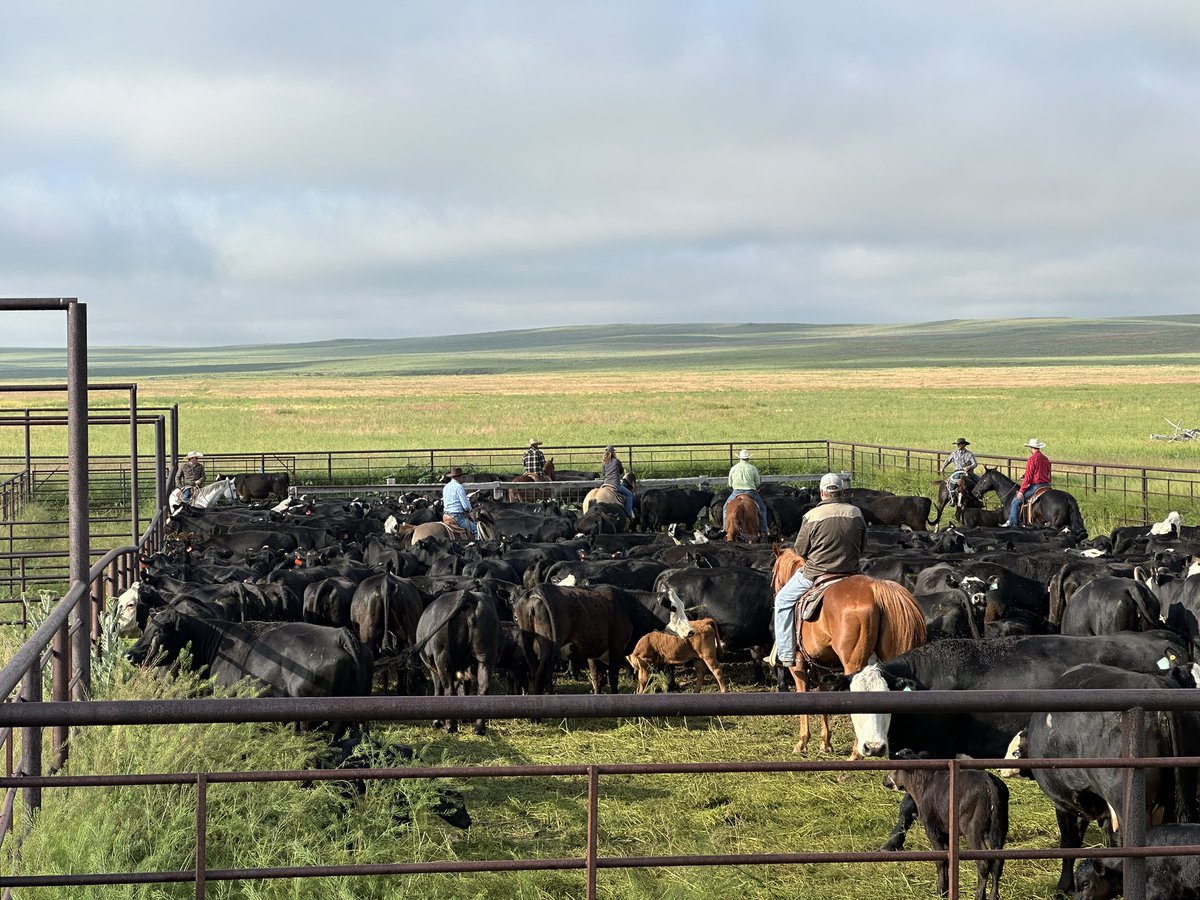 We have 10min AGI and Wyoming has 10 minute Ireland