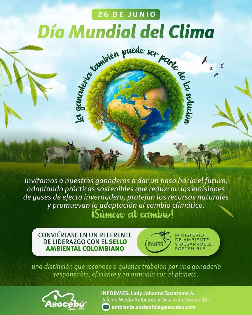 🌍 Hoy, en el  Día Mundial del Clima, reconocemos que los retos ambientales también  son una oportunidad para transformar nuestra ganadería. 🐂

Desde  Asocebú invitamos a todos los ganaderos a liderar ese cambio adoptando  prácticas sostenibles.