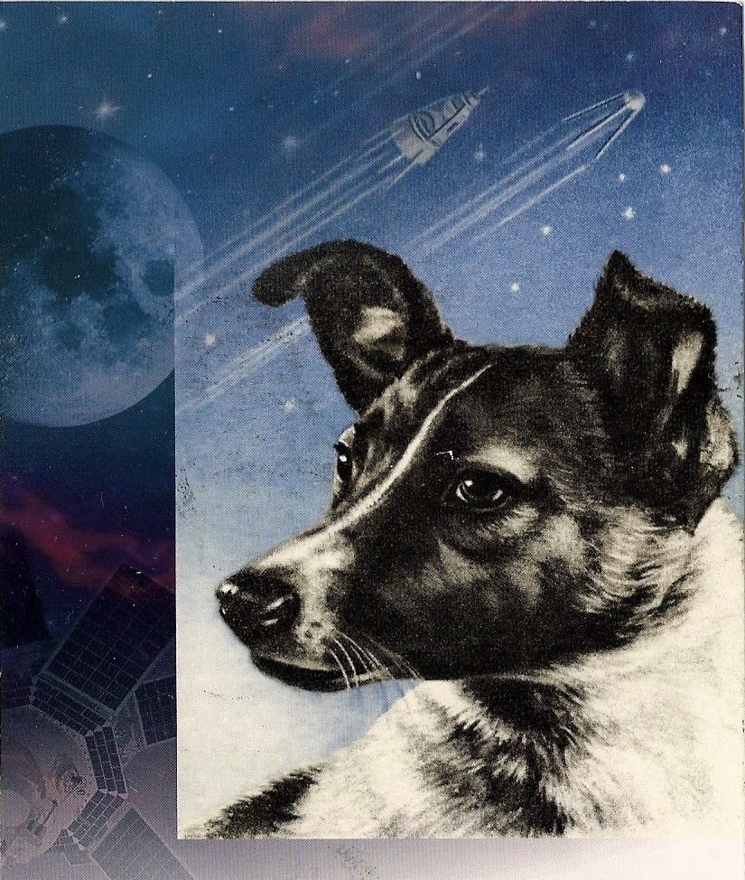 Alexalvz12's tweet image. Pero el mundo no lo supo.

La URSS mintió: dijeron que Laika murió sin dolor, tras días de vida, dormida y en paz.

Una mentira que duró 45 años.