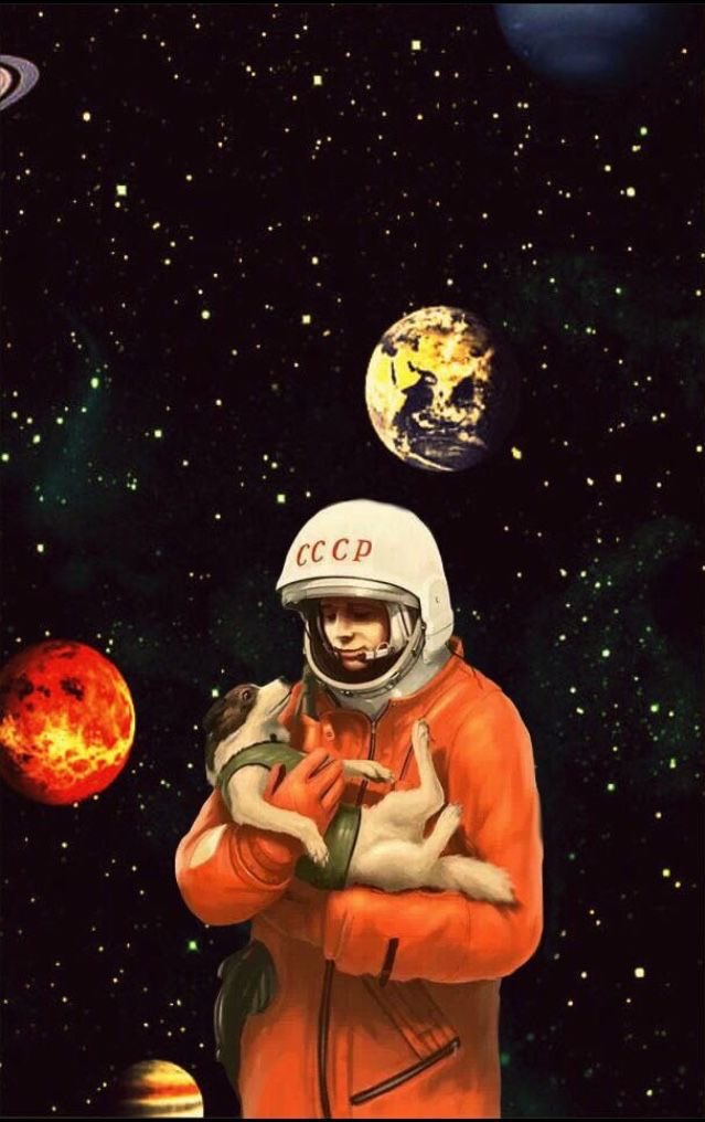 Alexalvz12's tweet image. 3 años después, el 12 de abril de 1961, Yuri Gagarin se convirtió en el primer humano en el espacio.

A su regreso dijo:

“No sé si soy el primer hombre o el último perro en volar al espacio&quot;.