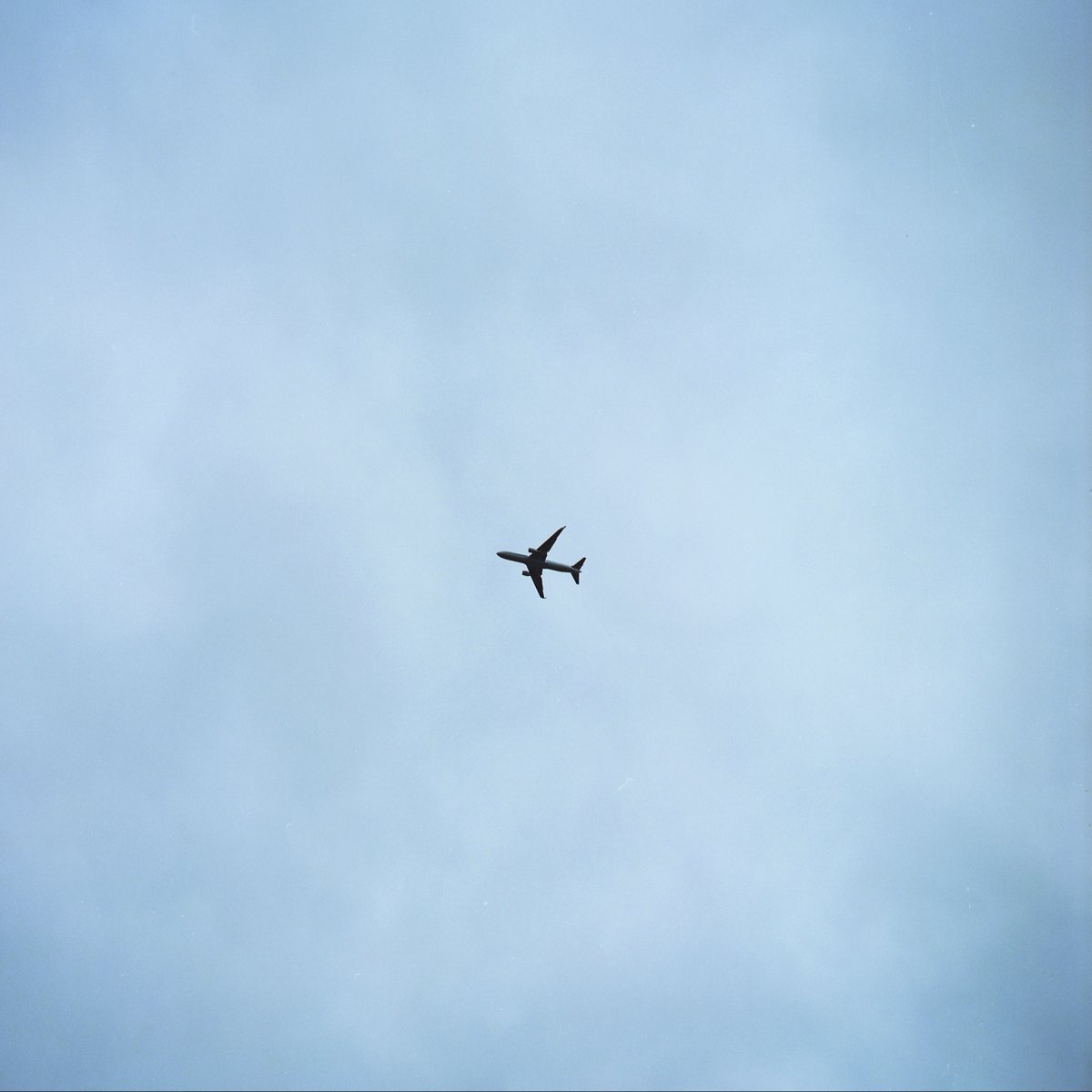 kachi2_namako's tweet photo. 飛行機、新宿御苑から
カメラ #Hasselblad 500C/M
フィルム #CatLABS X FILM 100 COLOR
#フィルムカメラ #filmphotography #写真好きな人と繋がりたい #カメラ好きな人と繋がりたい https://t.co/8ayuCF0GQ7