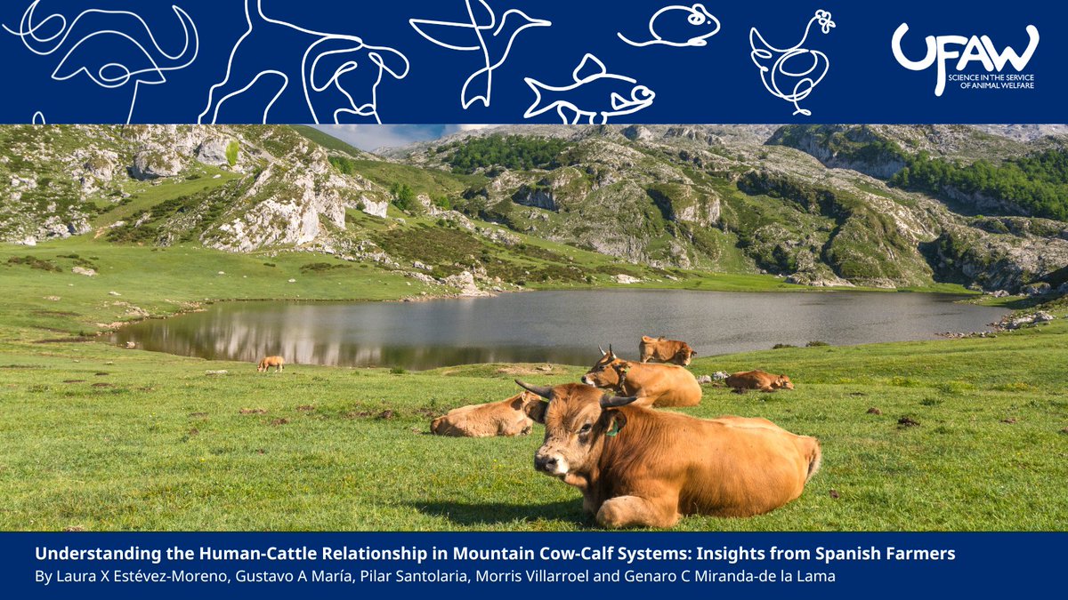 AW_TheJournal's tweet image. π NEW STUDY examines how farmerβcattle interactions influence animal welfare in extensive mountain systems.
π Read the full study here: ow.ly/uEfo50WgOYq
#AnimalWelfare #AnimalWelfareScience
