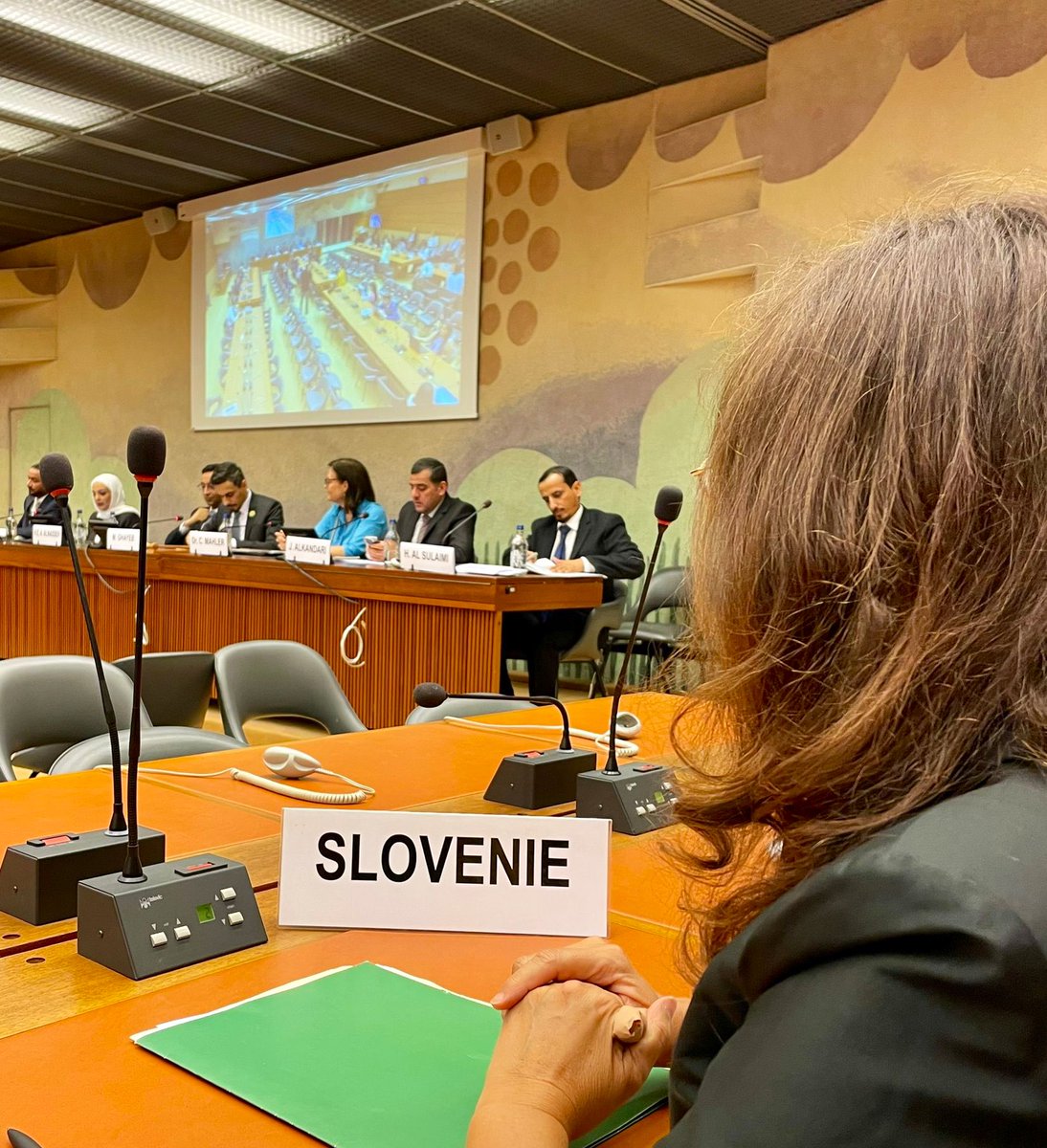At the #GCC event on the protection of older persons, SI 🇸🇮 emphasised that “safe and dignified ageing is a deeply human, ethical, social &amp; human rights issue.” 👵👴 

Together, we’re working towards the international convention on the human rights of #OlderPersons. 🌍🤝
