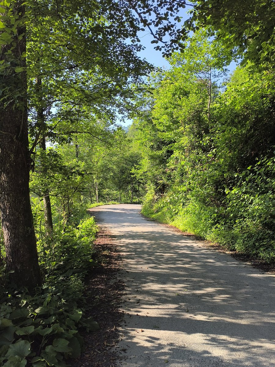 " kimsenin derdini hafife alma,
Herkes kendi yükünün hamalıdır
Ne kadar ağır olduğunu Taşıyan bilir..."

#doğa #cpunk #spor