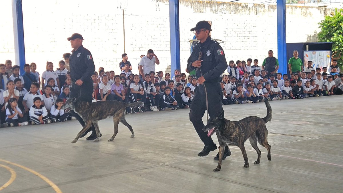 SSPC_GobOax's tweet photo. En la escuela primaria “Profesor Vicente González Díaz" ubicada en inmediaciones de la Central de Abasto, diversas áreas que integran esta secretaría participaron en el Día Azul por una Infancia Feliz, con diversas actividades lúdicas, recreativas y demostración de una parte de la labor que realizan las corporaciones por el bienestar de las familias.

Juntos trabajamos por la prevención del delito y el desarrollo integral de las niñas y niños. #Oaxaca 

@salomonj @IvanGarcia_A @GobOax