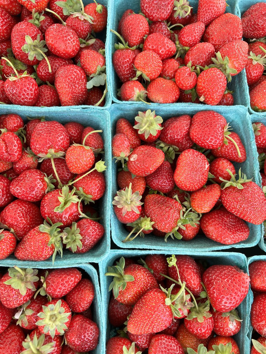 CityofWhiteBearLake (@cityofwhitebear) on Twitter photo 🍓🥦💐Who's ready for the kickoff of Farmers' Market Season? Join <a href="/WBLPD/">White Bear Lake PD</a> for donuts and coffee and stock up on farm fresh fruits and veggies on Friday morning! 🍓🥦💐Who's ready for the kickoff of Farmers' Market Season? Join <a href="/WBLPD/">White Bear Lake PD</a> for donuts and coffee and stock up on farm fresh fruits and veggies on Friday morning!