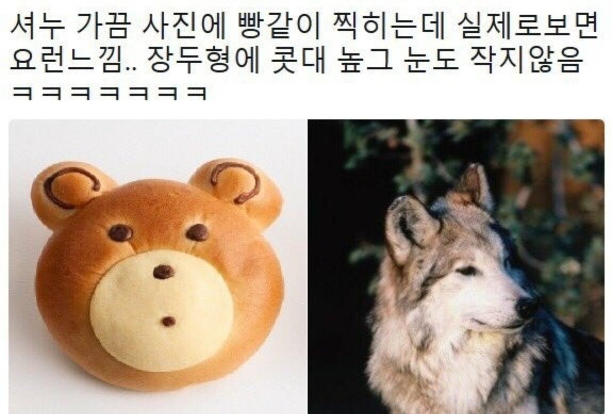 nunu__ym's tweet photo. https://t.co/V6jZcnMiIF