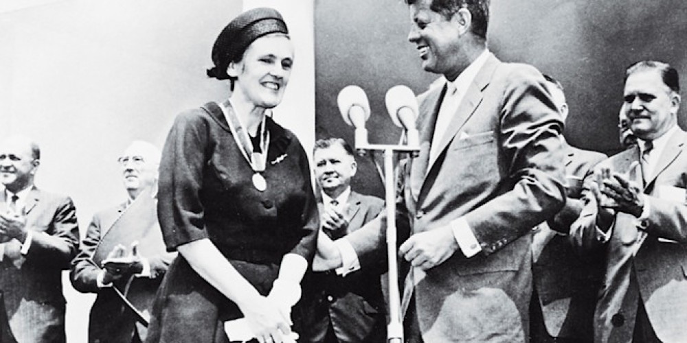 UpstateNews's tweet image. Amazing new insight into long unexplained terrible #birthdefect.  A newly published review in &apos;Birth Defects Research&apos; helps unlock the 65-year-old puzzle of devastating limb malformations associated with #thalidomide exposure.

Read more: bit.ly/3ZNQ3uu