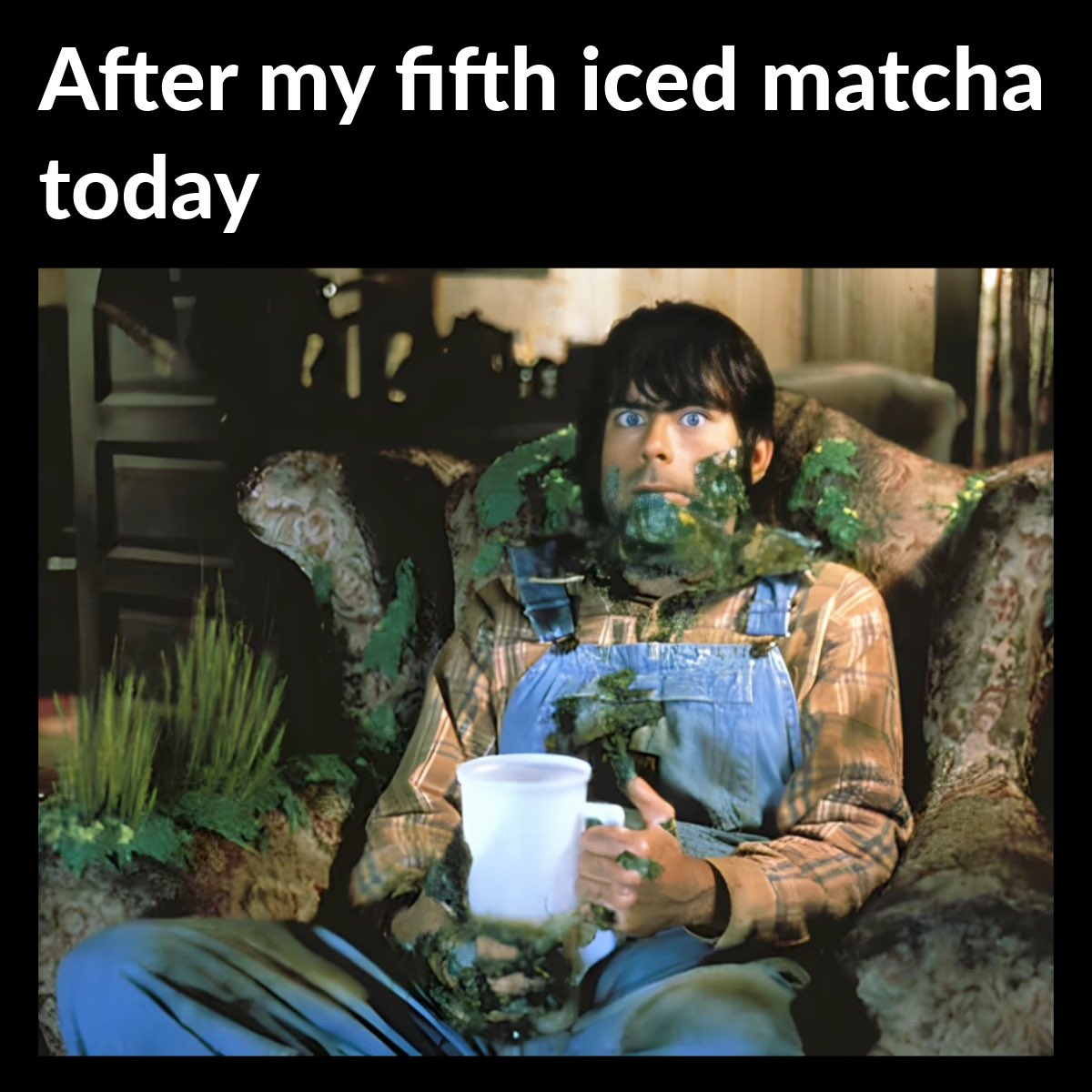 The Brewed tweet media