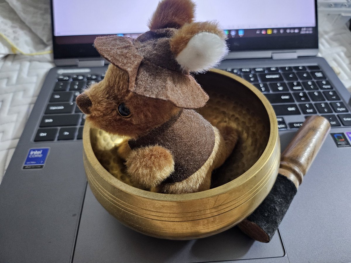 후배가 그랬다. 부처가 되십쇼.. 예수가 되십쇼.. 내일은 늦잠 자고 일어나서 싱잉볼이나 열심히 두드려야겠다. 지금은 인형 보관함.