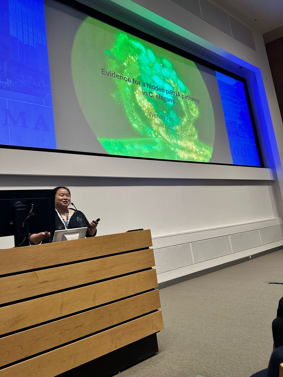 Wendy Tan from the Mello lab discussing Evidence for mutator component-independent piRNA silencing in C. elegans 🪱#RNATx2025