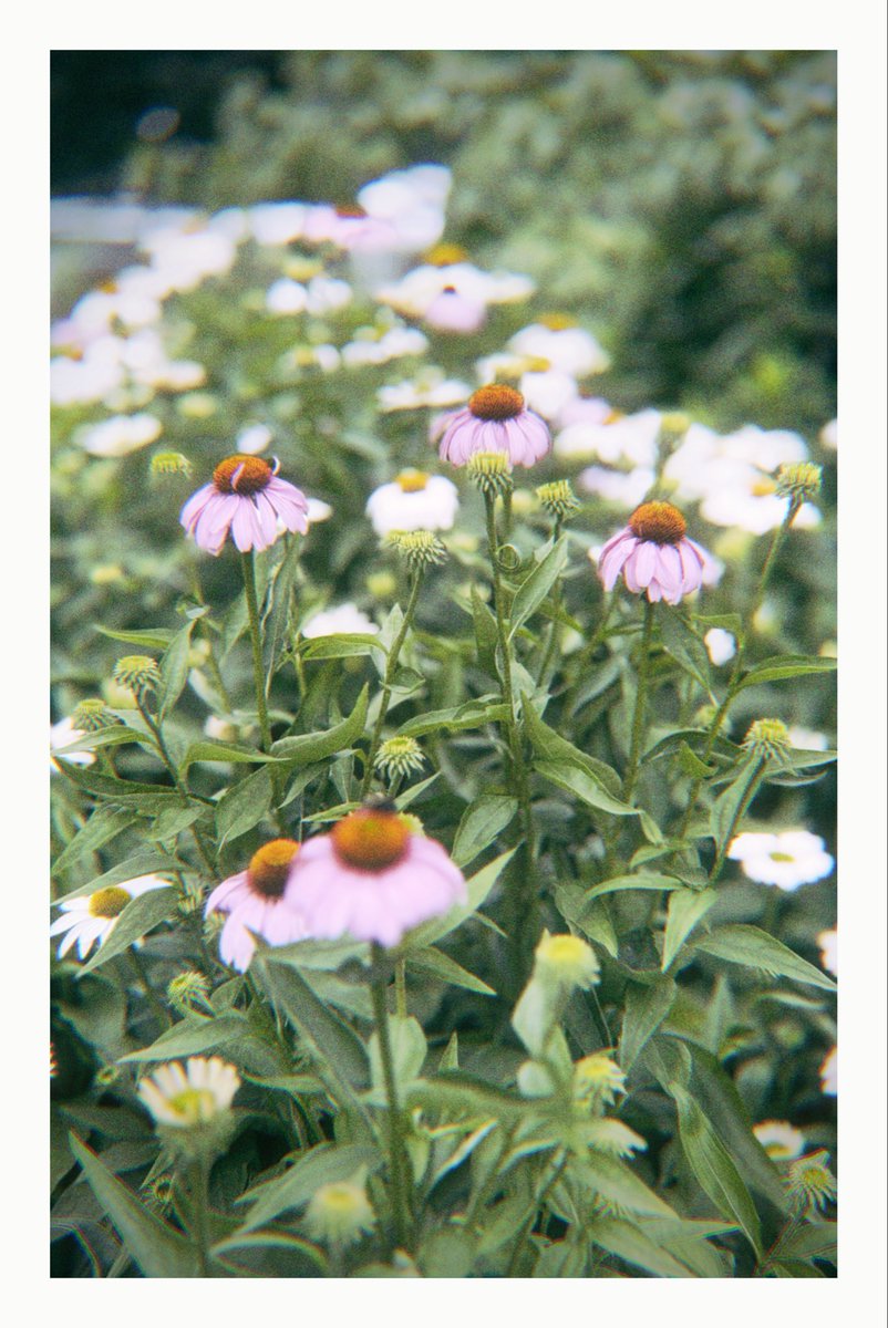 actually it’s good tweet media